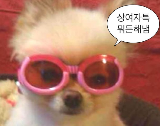 64c7d1f3d4dc370aba1b97220be2e29e_1762560558_2636.png 64c7d1f3d4dc370aba1b97220be2e29e_1762560558_2636.png