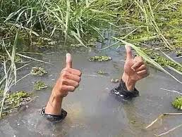 77c73416eb4f24d6f5f58756abe63436_1764375762_4127.png 77c73416eb4f24d6f5f58756abe63436_1764375762_4127.png