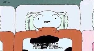 806910dda209ca5f1de8e6871abc1070_1764286693_1721.png 806910dda209ca5f1de8e6871abc1070_1764286693_1721.png