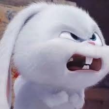 806f7ef8ad6688b4fc8d3b4bfb1bb00e_1764073882_805.jpg 806f7ef8ad6688b4fc8d3b4bfb1bb00e_1764073882_805.jpg