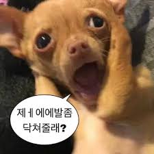 80f0ee43eff5a04b180d815560dcfba9_1762541700_1152.png 80f0ee43eff5a04b180d815560dcfba9_1762541700_1152.png