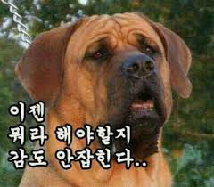 856fa7edd7973d7cc7ace80d521a6b98_1762722975_4285.png 856fa7edd7973d7cc7ace80d521a6b98_1762722975_4285.png