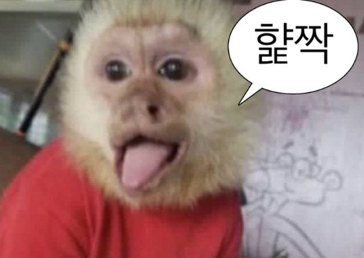 85b2613922717772027e091baed10e07_1762560010_232.png 85b2613922717772027e091baed10e07_1762560010_232.png