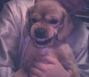 9129d0bd666b26e46297b46c616e55c7_1763532983_8299.jpg 9129d0bd666b26e46297b46c616e55c7_1763532983_8299.jpg