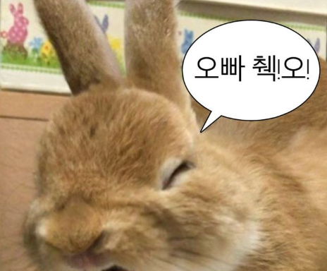 9344b844d6b3c6a15e4911eb41039cf4_1764200391_8389.png 9344b844d6b3c6a15e4911eb41039cf4_1764200391_8389.png