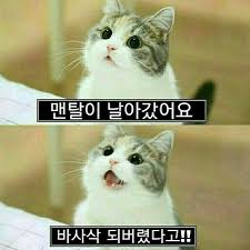 954129a889efe6a9135275d936a14bb2_1761925522_8119.png 954129a889efe6a9135275d936a14bb2_1761925522_8119.png