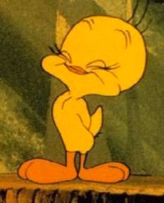 aa11c138c7a6cce5495675b624c3e92f_1762407899_7842.jpg aa11c138c7a6cce5495675b624c3e92f_1762407899_7842.jpg