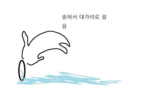 afe5388249645caa6cf7b4362767d4aa_1762089057_1141.jpg afe5388249645caa6cf7b4362767d4aa_1762089057_1141.jpg