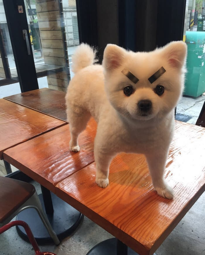 d424b78dd69e721148640598652087c0_1764127481_3352.jpg d424b78dd69e721148640598652087c0_1764127481_3352.jpg