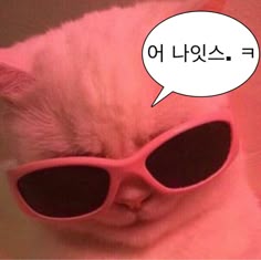 e0474db5672a2a9a1047684426e0e07b_1763953234_2228.jpg e0474db5672a2a9a1047684426e0e07b_1763953234_2228.jpg