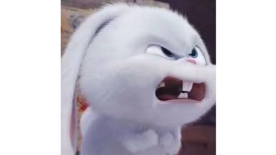 무료스핀 10원 줌