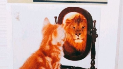 번영의나무에서 잭팟 냄새