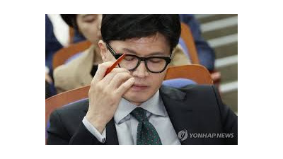 타이 타이로 정지