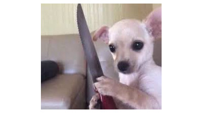 웃음이 안 나옴