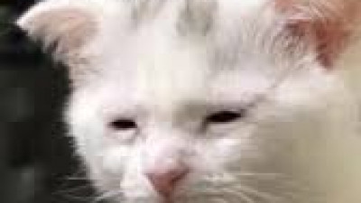 줄 꼬이자 그대로 접음