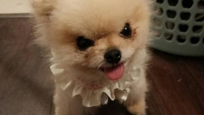 슬롯 환수율 미쳤네