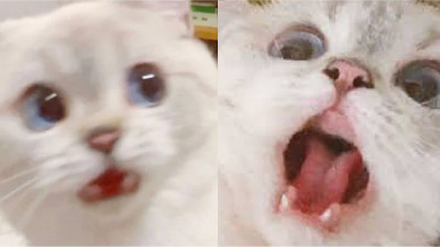 스핀 멈추니까 나도 멈춤