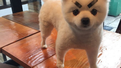 더블 욕심 과했음