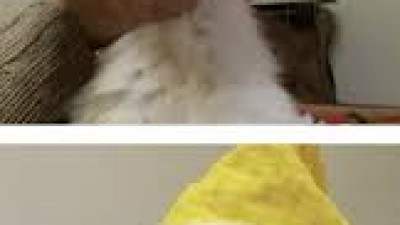 딜러가 나한테 복수함