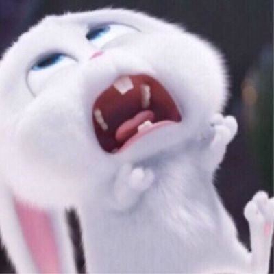 26c44c9a05523c86b01957ad425c354e_1764569567_2498.jpg 26c44c9a05523c86b01957ad425c354e_1764569567_2498.jpg