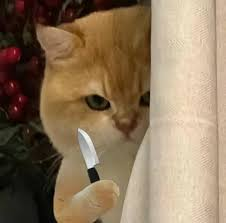 3075e7ce635f5a970c233bbfcc7ed7d2_1765158163_5842.png 3075e7ce635f5a970c233bbfcc7ed7d2_1765158163_5842.png