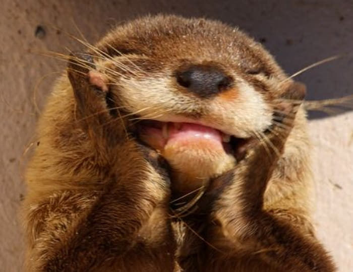 5a535d11b4eb2b5b05c03b454ed96eae_1765262183_7383.jpg 5a535d11b4eb2b5b05c03b454ed96eae_1765262183_7383.jpg