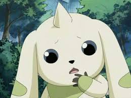 5c9f0af5b857b61c6a5f065e00a7b4e3_1765851979_8844.jpg 5c9f0af5b857b61c6a5f065e00a7b4e3_1765851979_8844.jpg