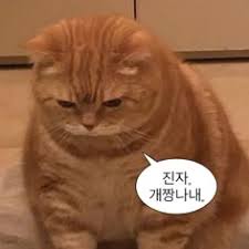 66c8e570c34bab0c5a46434febc91dae_1764516072_5159.jpg 66c8e570c34bab0c5a46434febc91dae_1764516072_5159.jpg