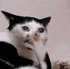 6b251db755bd237348d9915a68d4cae4_1765453178_3836.jpg 6b251db755bd237348d9915a68d4cae4_1765453178_3836.jpg