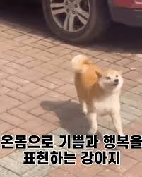 979134476bb9c84b1c88d95382b584cf_1764523570_5762.jpg 979134476bb9c84b1c88d95382b584cf_1764523570_5762.jpg