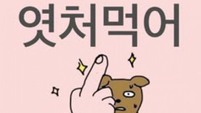 박스 신호 무시하다 바로 패