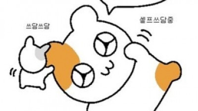 비 왔는데 이 정도면 대박이지