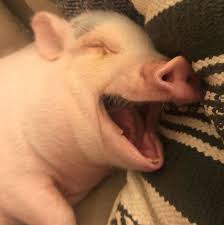 188ff7472b1e8292857a42b732265e10_1777886156_6151.jpg