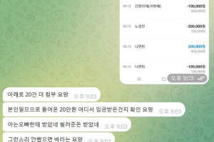 파티 입금액 20만원 먹튀