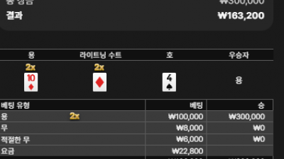 뉴헤븐 후기