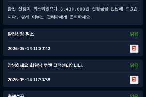 루엔 환전사고