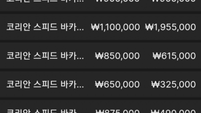 홈카지노 후기