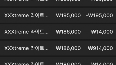 뉴헤븐 후기