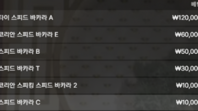 브이텐 후기글