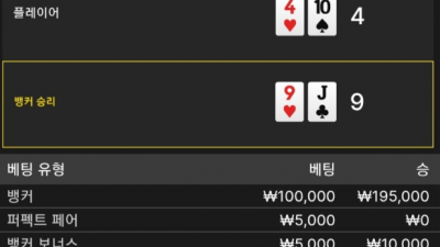 핑카지노 후기