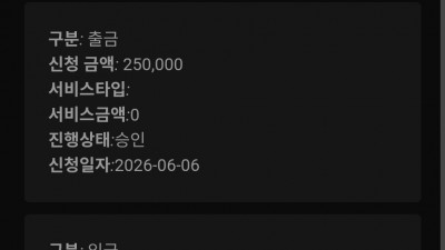 돌리고후기