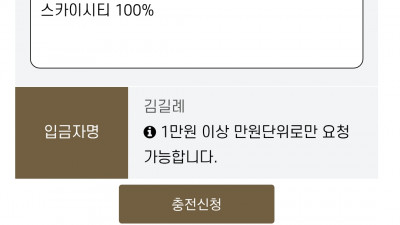 브이텐후기