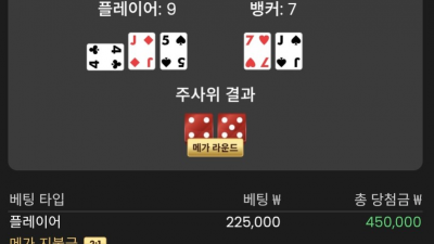 핑카지노 후기