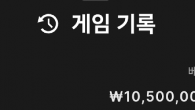 고카지노 후기