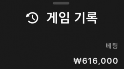 뉴헤븐 후기