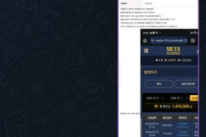 메타 100만원도 안되는 소액 먹튀