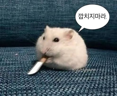 adb29d21deff729cf169079ecfb5888b_1787862186_764.png adb29d21deff729cf169079ecfb5888b_1787862186_764.png