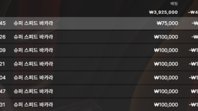 뉴헤븐카지노