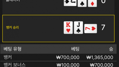 뉴헤븐 후기