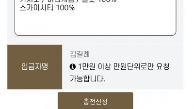 브이텐후기